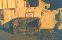 Trespassers will be prosecuted!